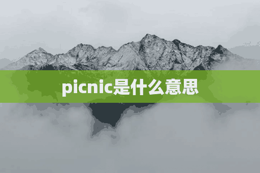 picnic是什么意思